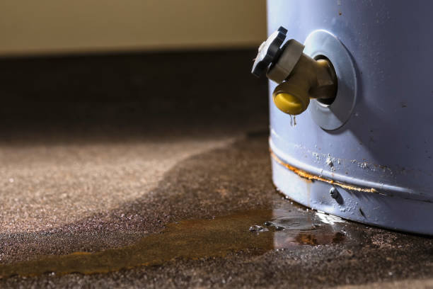 Best Residential water damage restoration  in Remgton, IN
