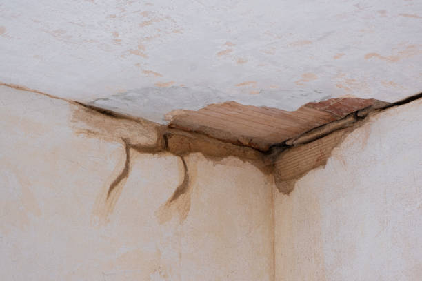Reliable Remington, IN Water damage restoration Solutions