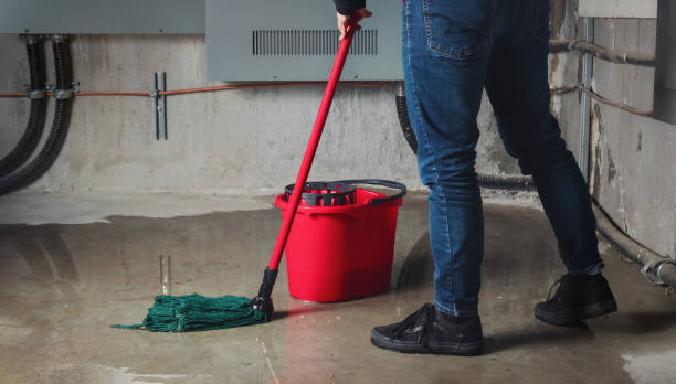 Best 24/7 water damage repair  in Remgton, IN