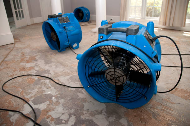 Best Commercial water damage restoration  in Remgton, IN