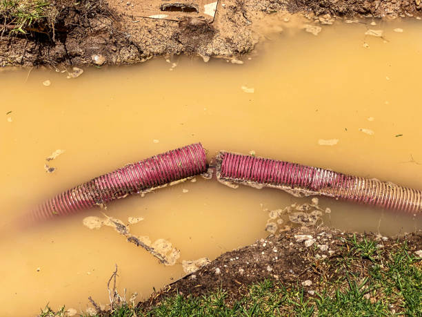 Best Water damage restoration services  in Remgton, IN