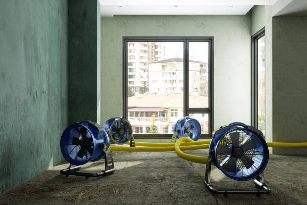 Best Fire Damage Restoration  in Remgton, IN